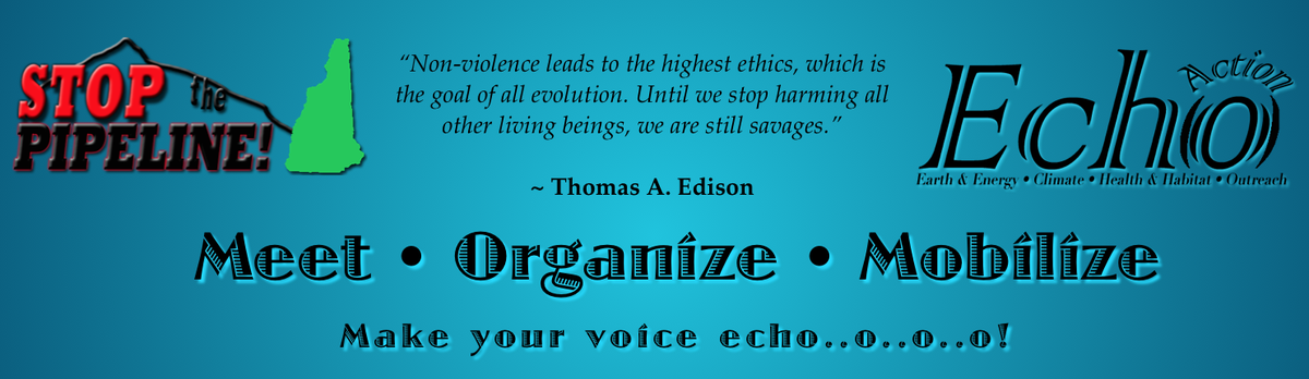 ECHOActionTeam's tweet photo. MEETING @ECHOActionTeam &amp; @StopTheNHPipe at the Fitzwilliam Library
Wednesday, October 28th, 6;00-8:00 PM #StopNED http://t.co/LmHWZfixD2