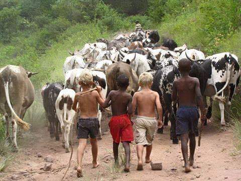 Kwabulawayo Bulawayo On Twitter One People One World One Khezi Kwabulawayo Http T Co Pj78txxggs twitter