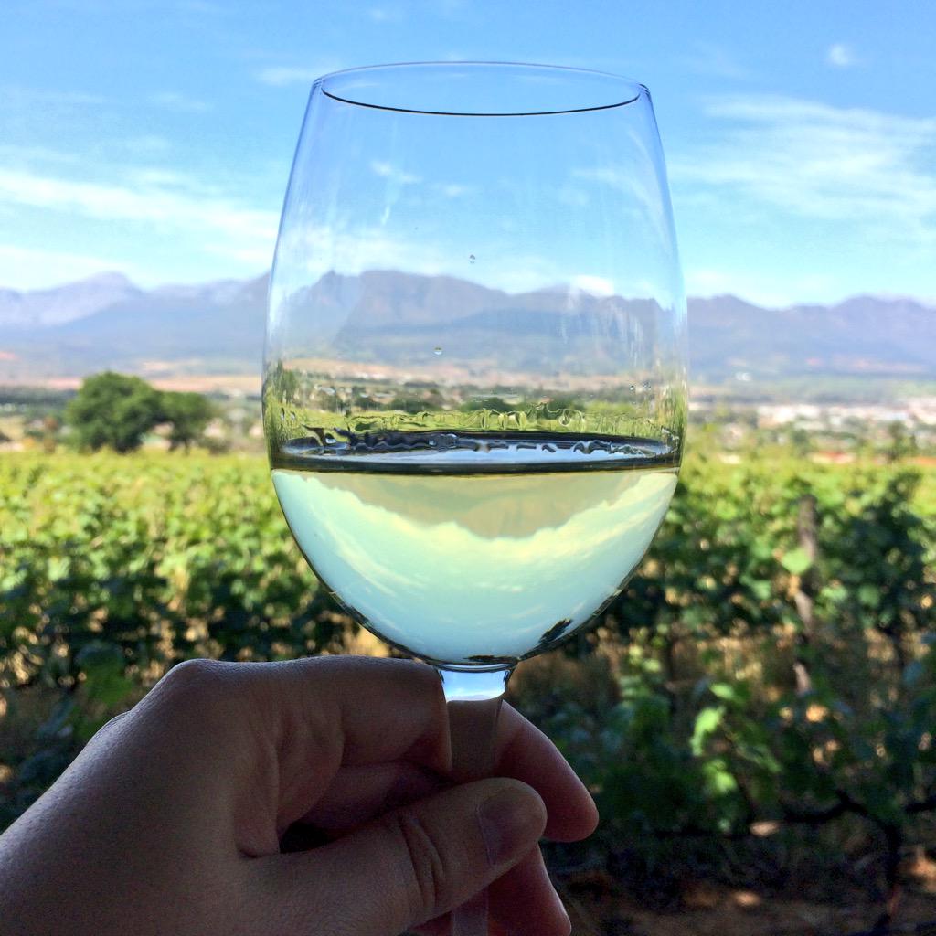 Dompie's tweet photo. Cheers to you boys. @Springboks @SABoksupporter @SuperSportTV what a cracker! #bokke #yesboys http://t.co/eqrQfvbPNU
