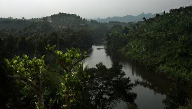 EmigrarFacil's tweet photo. Panamá presentará proyecto sobre preservación de bosques en evento de Cambio Climático http://t.co/RZMd8kcUdF http://t.co/Vyd3oABq8s