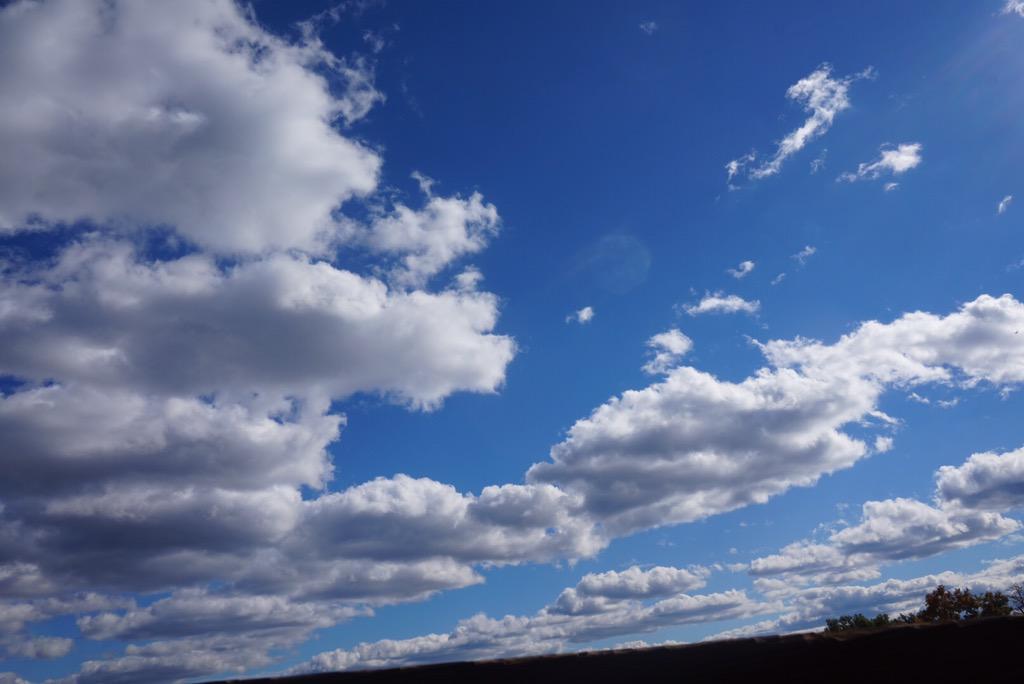 spacespasm's tweet image. pumpkin pickin