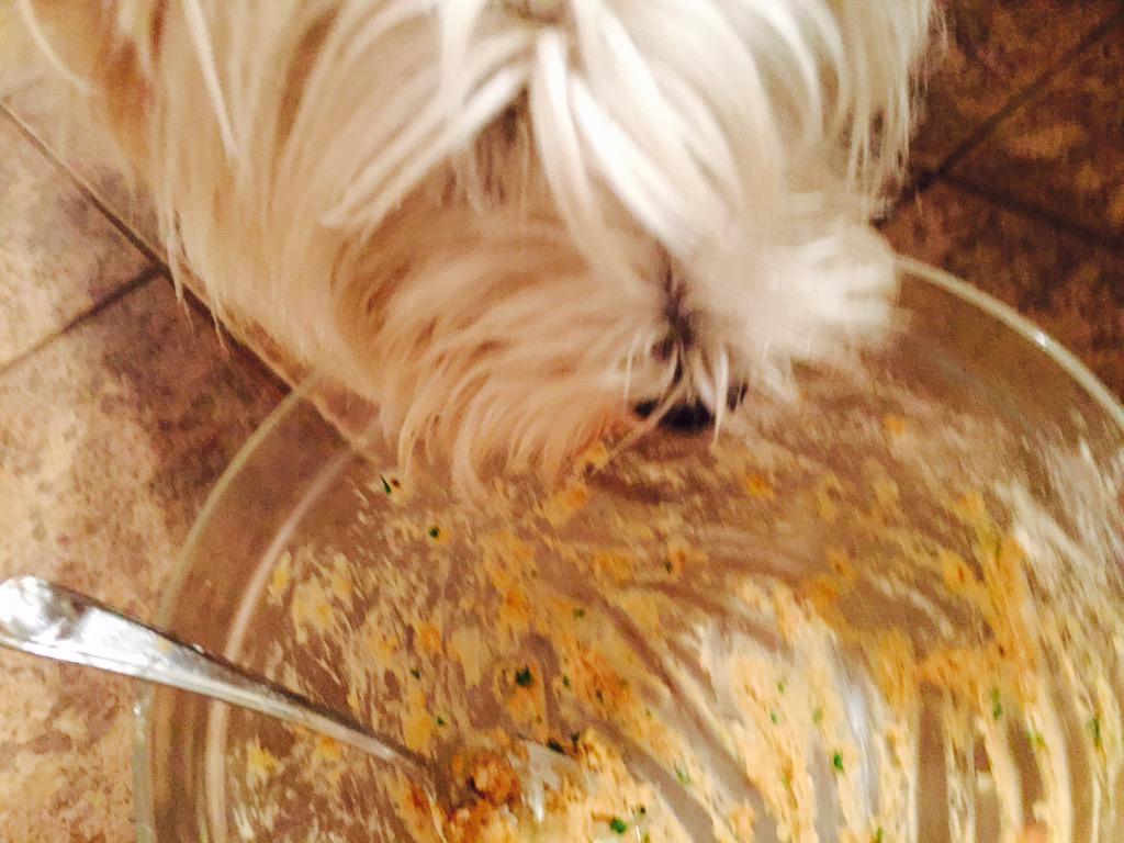 clovisgrise's tweet image. Baking Cookies 🍪🍪🍪