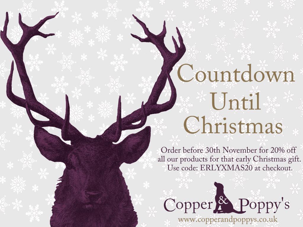 We love Christmas here at C&P! @Copper_Poppys