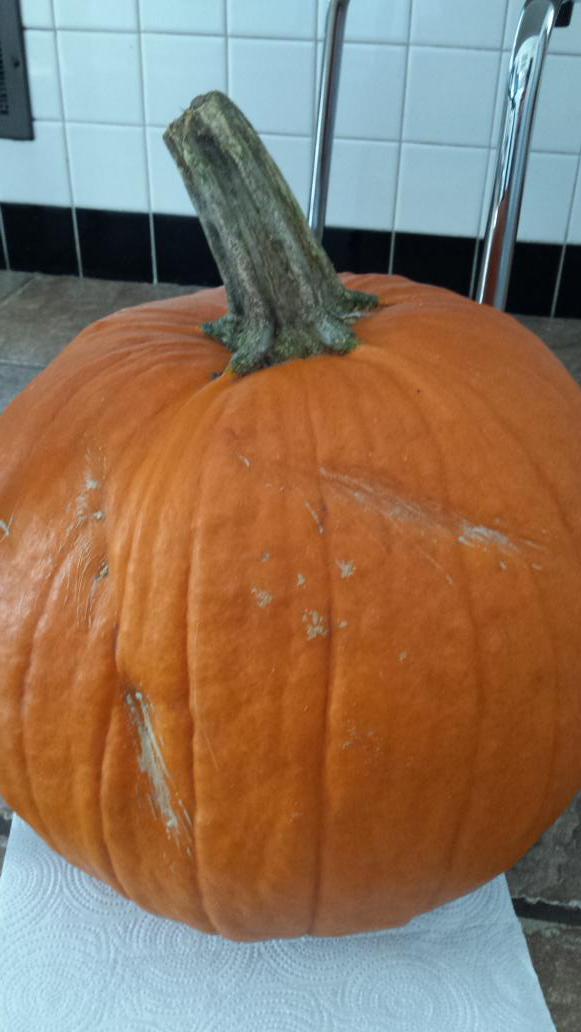 Jonathanhawgood's tweet photo. Going to use scars in face.
# pumpkincarve http://t.co/Jc10qIdkF9