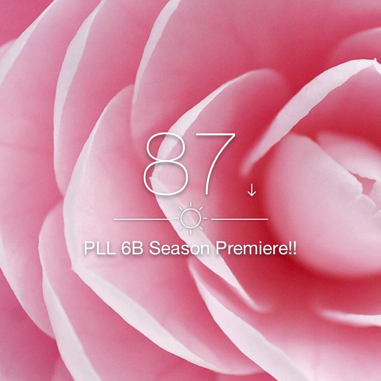 prettyliars93's tweet image. Your countdown liars!! 87 till 6B and 38 till the Special!! #PLLSpecial #PLL6B #PLLArmy