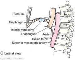 Jacob Ross Master Usmle Diaphragm Anatomy Mnemonic I Ate Ten Eggs At Twelve Ivc T8 Esophagus T10 Aorta T12 Http T Co U2honrun2q Twitter