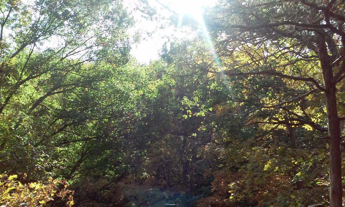 theoryofdeb's tweet photo. #rockbridgestatepark #devilsicebox http://t.co/iqXjsvOSlK