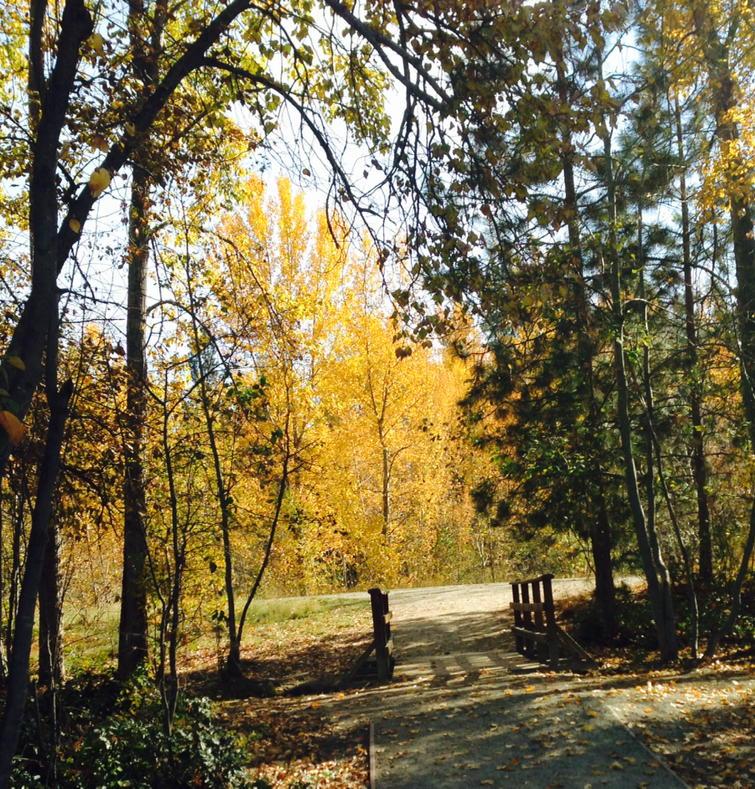 HealthFemme's tweet photo. http://t.co/8Q6qqLeILD