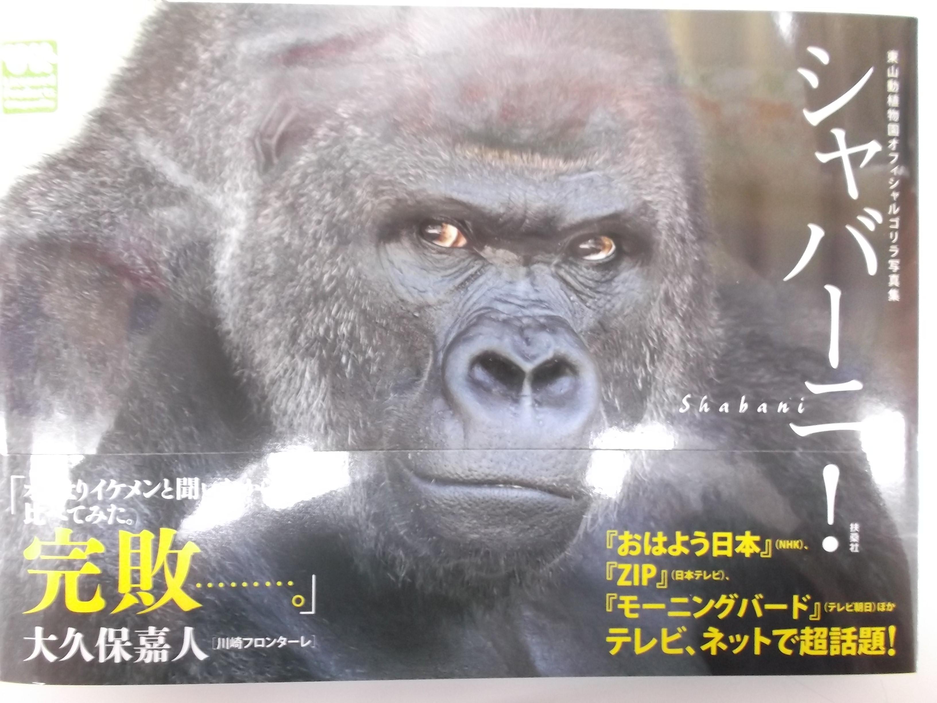 戸田書店 山梨中央店 テレビ ネットで超話題 イケメンゴリラ ついに単独写真集発売 東山動植物園オフィシャルゴリラ写真集 シャバーニ 出ましたよ ９月に発売した イケメンゴリラ にもシャバーニ出演してます 人気なイケメンゴリラです