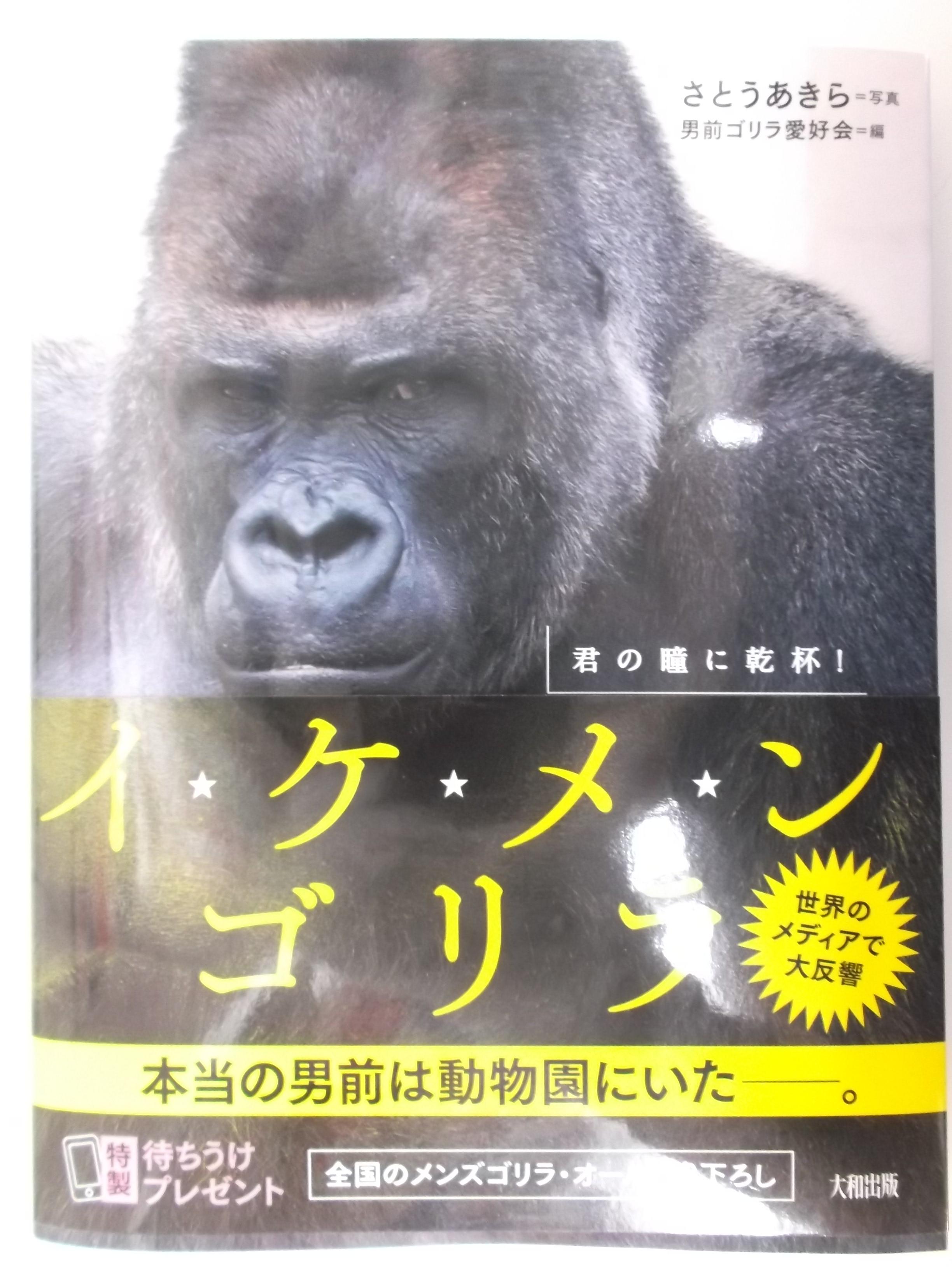 戸田書店 山梨中央店 En Twitter テレビ ネットで超話題 イケメンゴリラ ついに単独写真集発売 東山動植物園オフィシャルゴリラ写真集 シャバーニ 出ましたよ ９月に発売した イケメンゴリラ にもシャバーニ出演してます 人気なイケメンゴリラです
