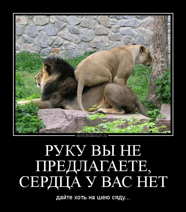 А чего нет того дать