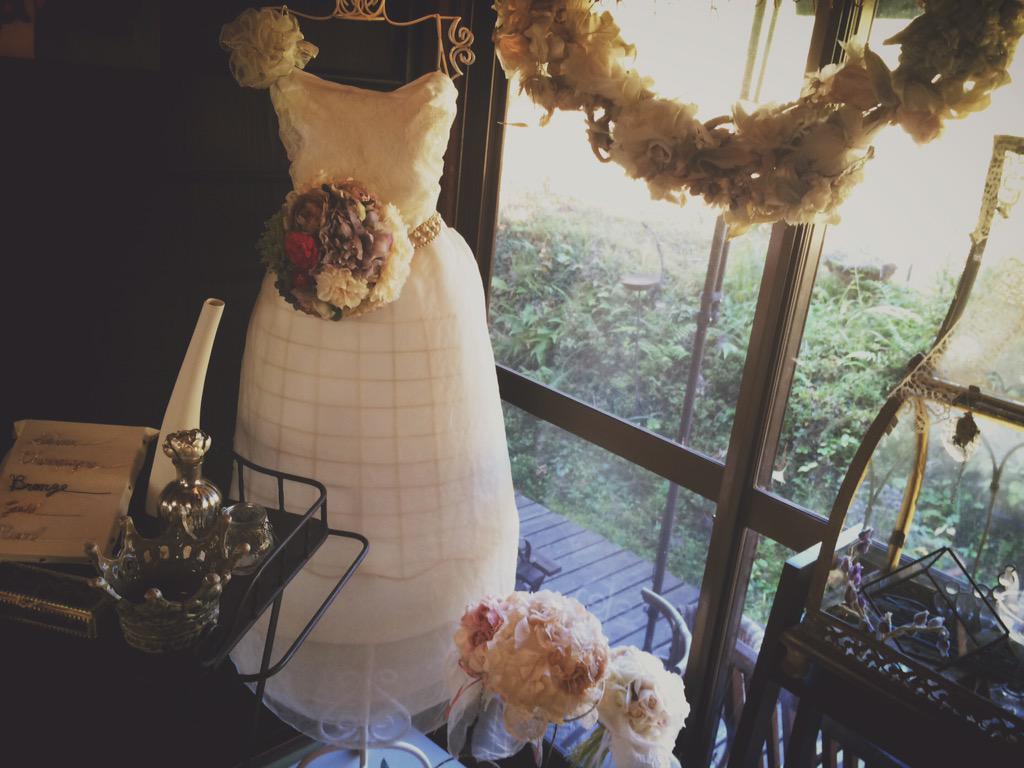 虫花風 Twitter Search Twitter 虫花風 Twitter Search Twitter