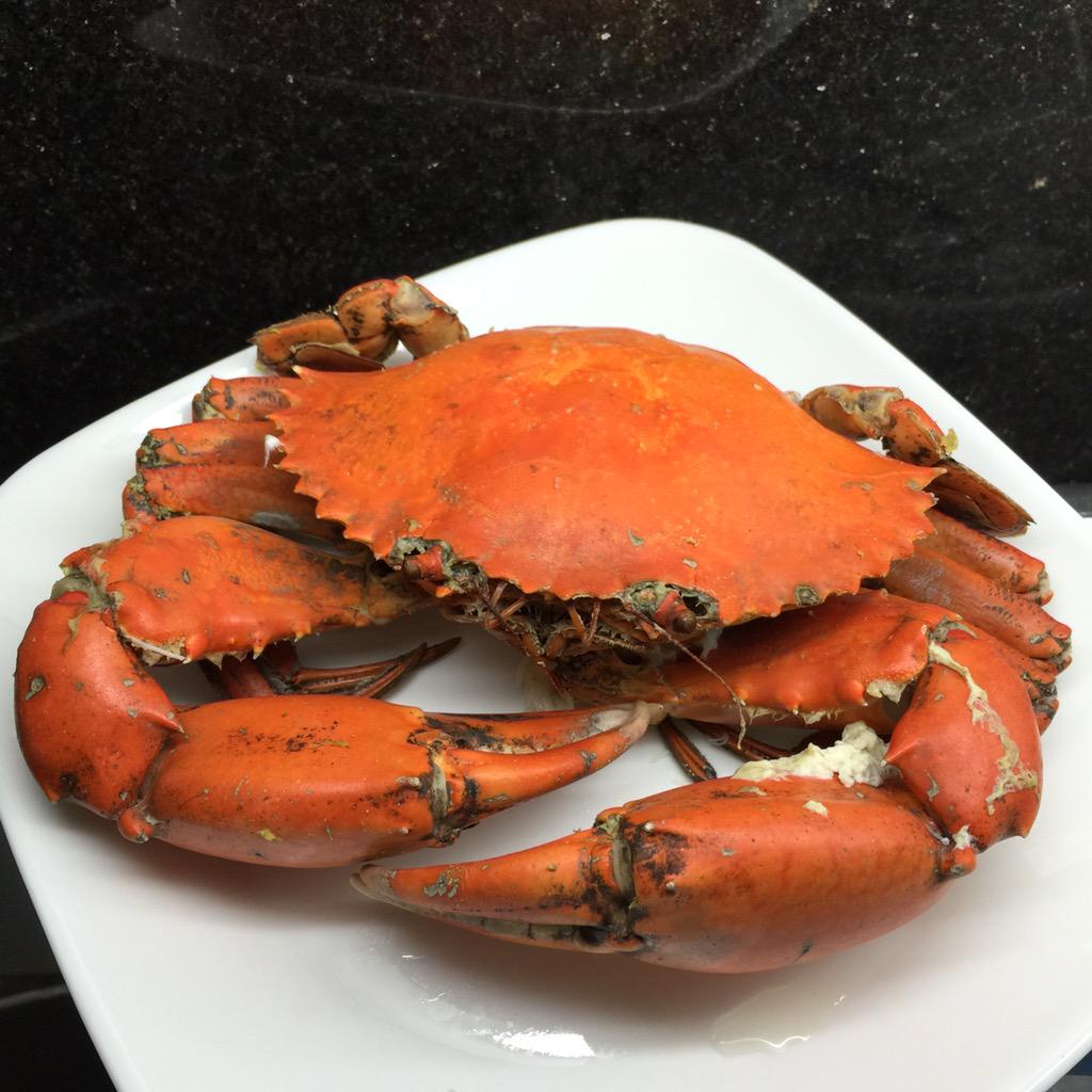 nivlacian_13's tweet photo. Sorry Sebastian #thecrab #cravingsolve http://t.co/ROkNVQmj22