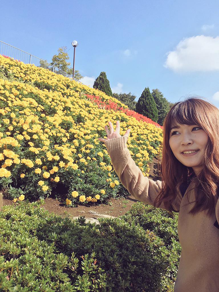 長友愛莉 相模原市相模原麻溝公園です 子供の頃の気持ちにもどれました W ミーアーキャットにめろめろ Http T Co Wxk84xvlnj