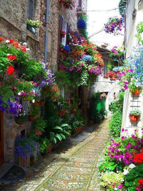 Streets of Spello, Italy