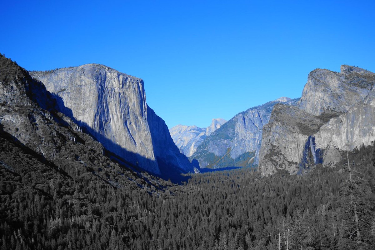 Lauren Durand (LaurenDurand1) Twitter