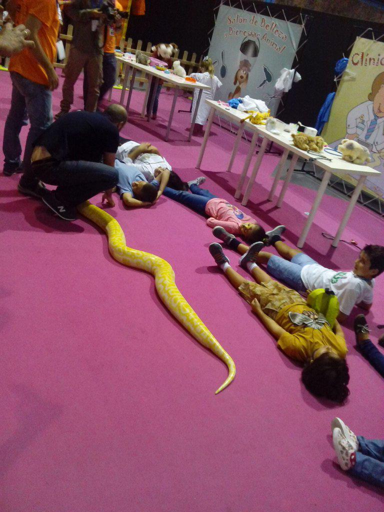 DiverFauna tweet media