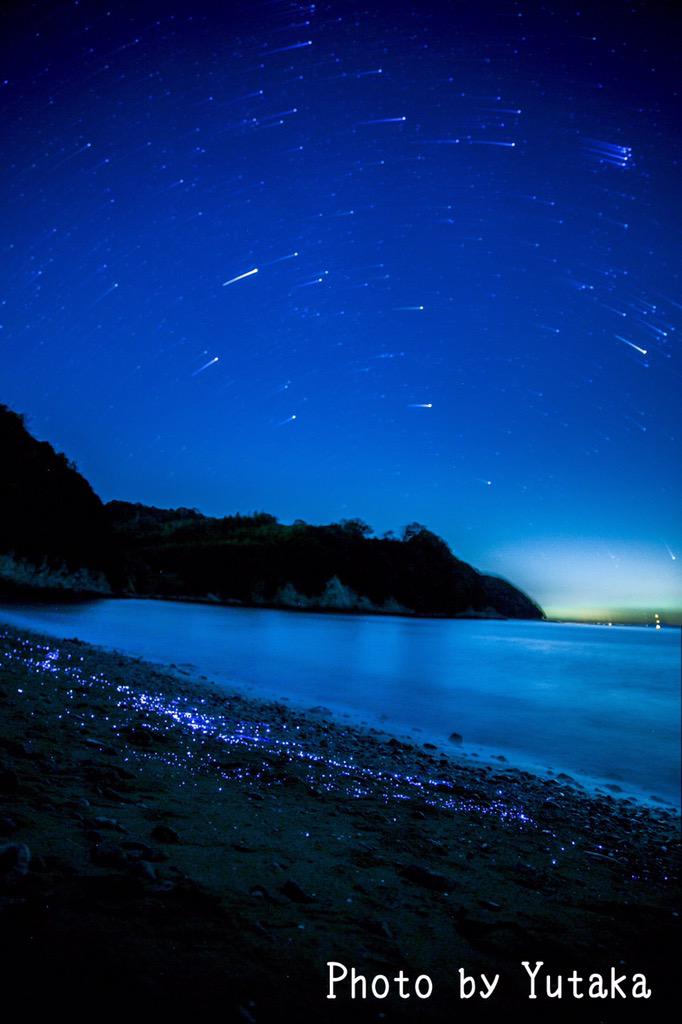 王子 Twitter પર 海蛍と星 Photoart Photograghy 星空 星 日周運動 写真撮る人と繋がりたい 写真好きな人と繋がりたい ファインダー越しの私の世界 海ほたる Http T Co Fzfkotho5z