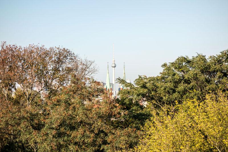 Der Herbst von seiner schönsten Seite – Neuer Artikel: Schau mal wie die Blätter tanzen. weltumschreibung.de/schau-mal-wie-…