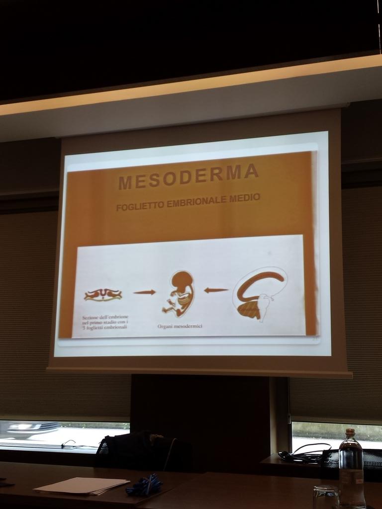 ReginAriarosa's tweet image. #mesoderma sviluppa derma, ossa, muscolatura volontaria, arterie, vene, grasso, tessuto connettivo #sonocapace