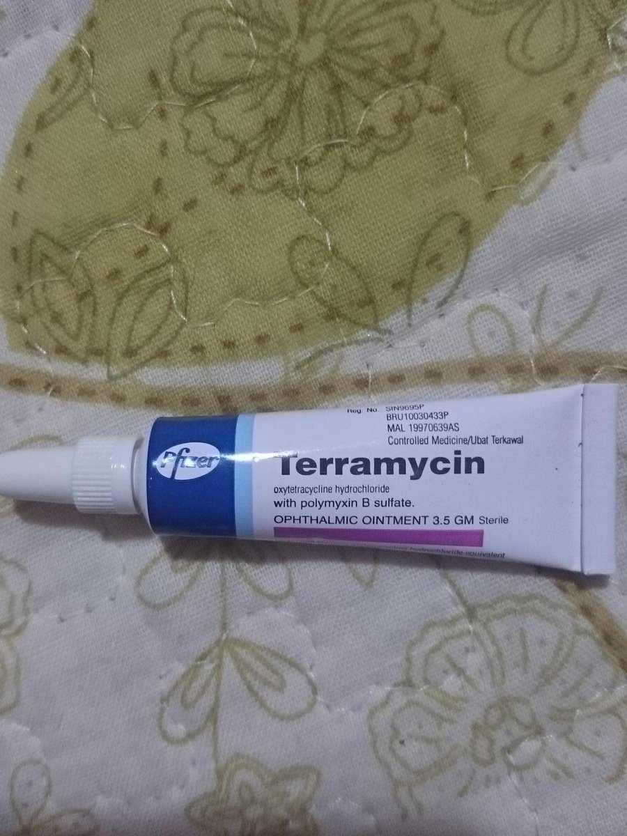 Haiwanjalanan Pa Twitter Ok Ni Terramycin Ointment Sakit Mata Utk Kucing Dewasa Boleh Dapatkan Dekat Farmasi Yg Berhampiran Http T Co Gmwfc50rgt Twitter