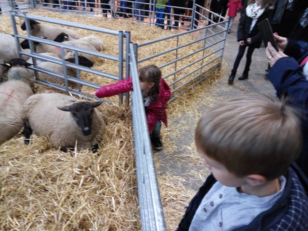 Visite du salon #Agrimax à #Metz pour commencer les #vacances avec <a href="/puce57500/">Lang Dominique</a>