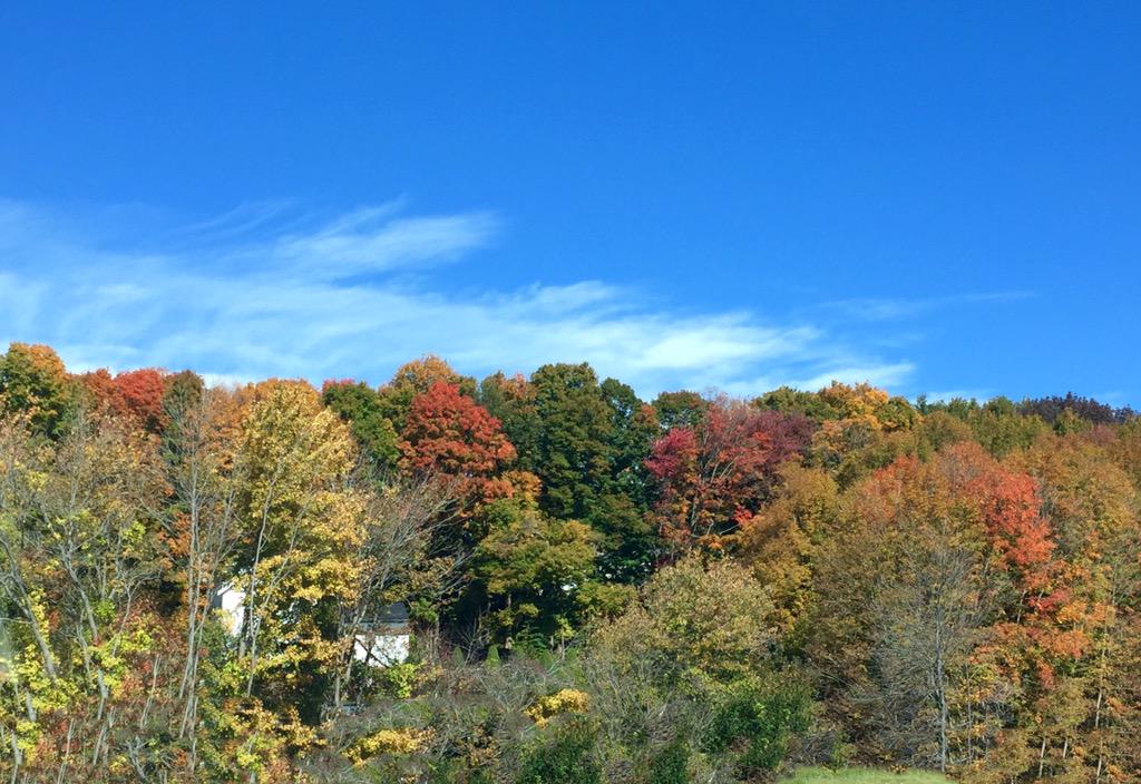 interstatedrvr's tweet image. Nice time to haul thru the Northeast....
#Connecticutcolors #leaveschanging #fallcolors #driverlife #truckers