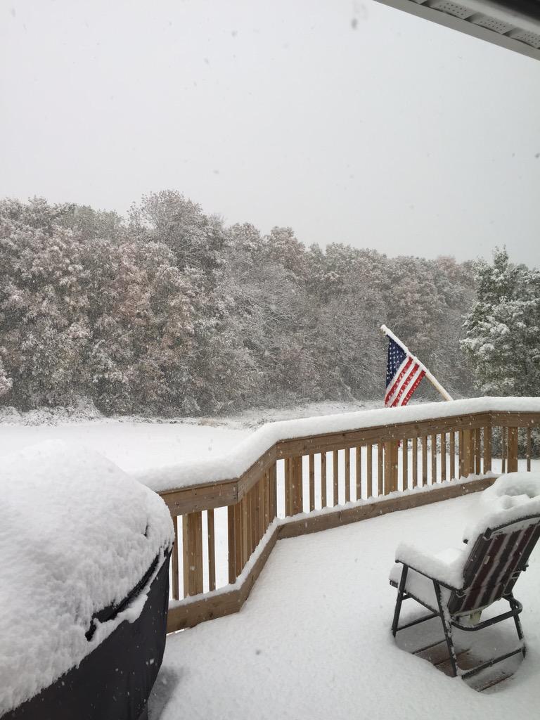 View image on Twitter