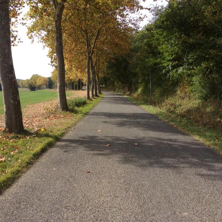 Peaceful afternoon cycle in this lovely corner of France....