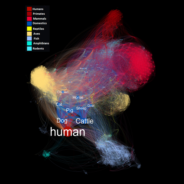 Satoshi_calling's tweet photo. How pathogens travel between species: http://t.co/LQRCSGhgBr #datastories http://t.co/764ctWFTl5