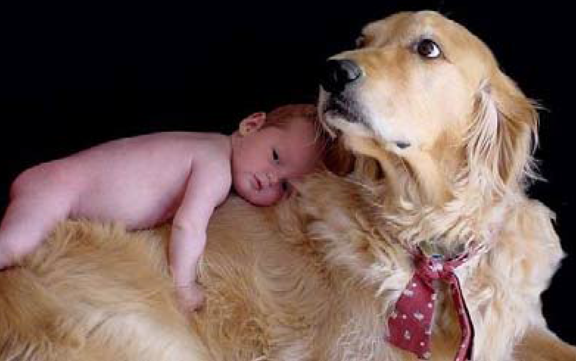 Thumbnail for Christine Cole Johnson on breastfeeding & the microbiome