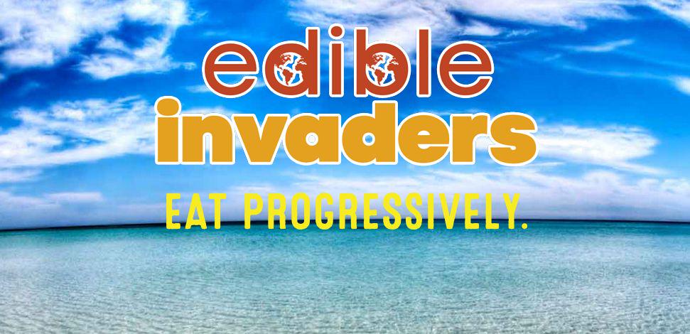 hopjacks's tweet photo. PROUDLY serving @EdibleInvaders​ "Gulf LionFish Dip!"  http://t.co/zabEE8YUvF http://t.co/fFU5ujVnrw