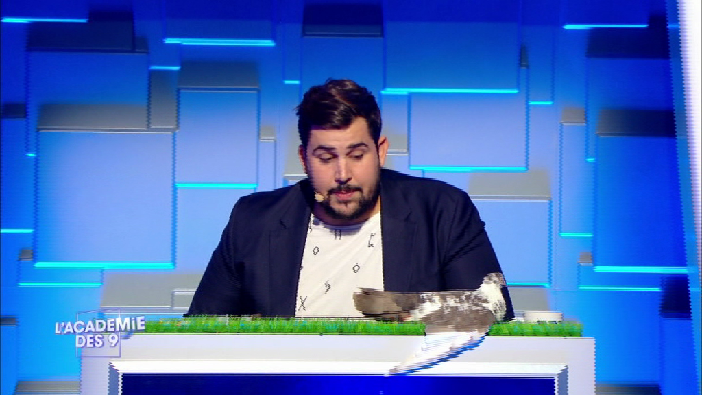 Le pigeon devant <a href="/VictorArtus/">Artus</a> n'a subi aucune maltraitance, c'est promis juré ! #AcadémieDes9