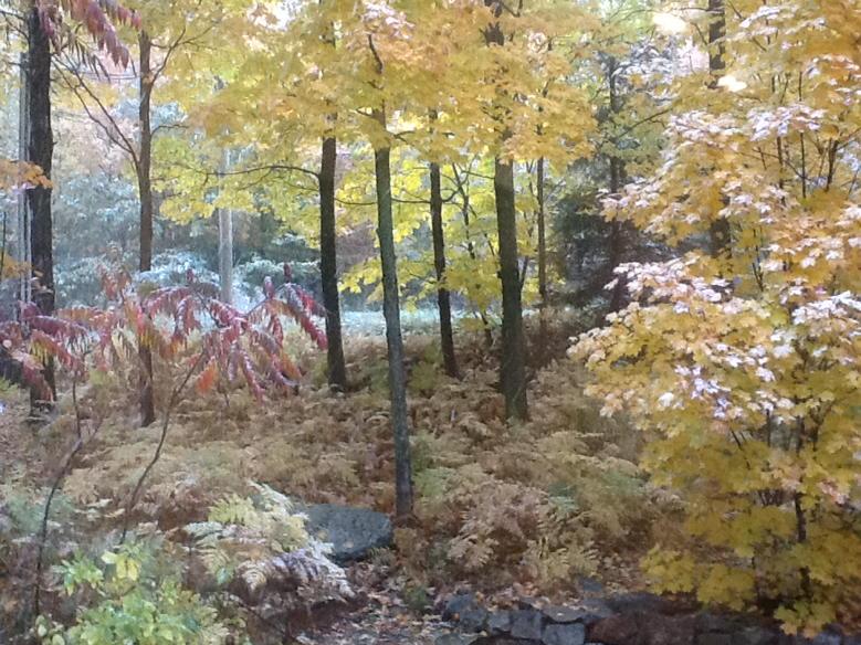 Yves Simoneau (YvesSimoneau) Twitter