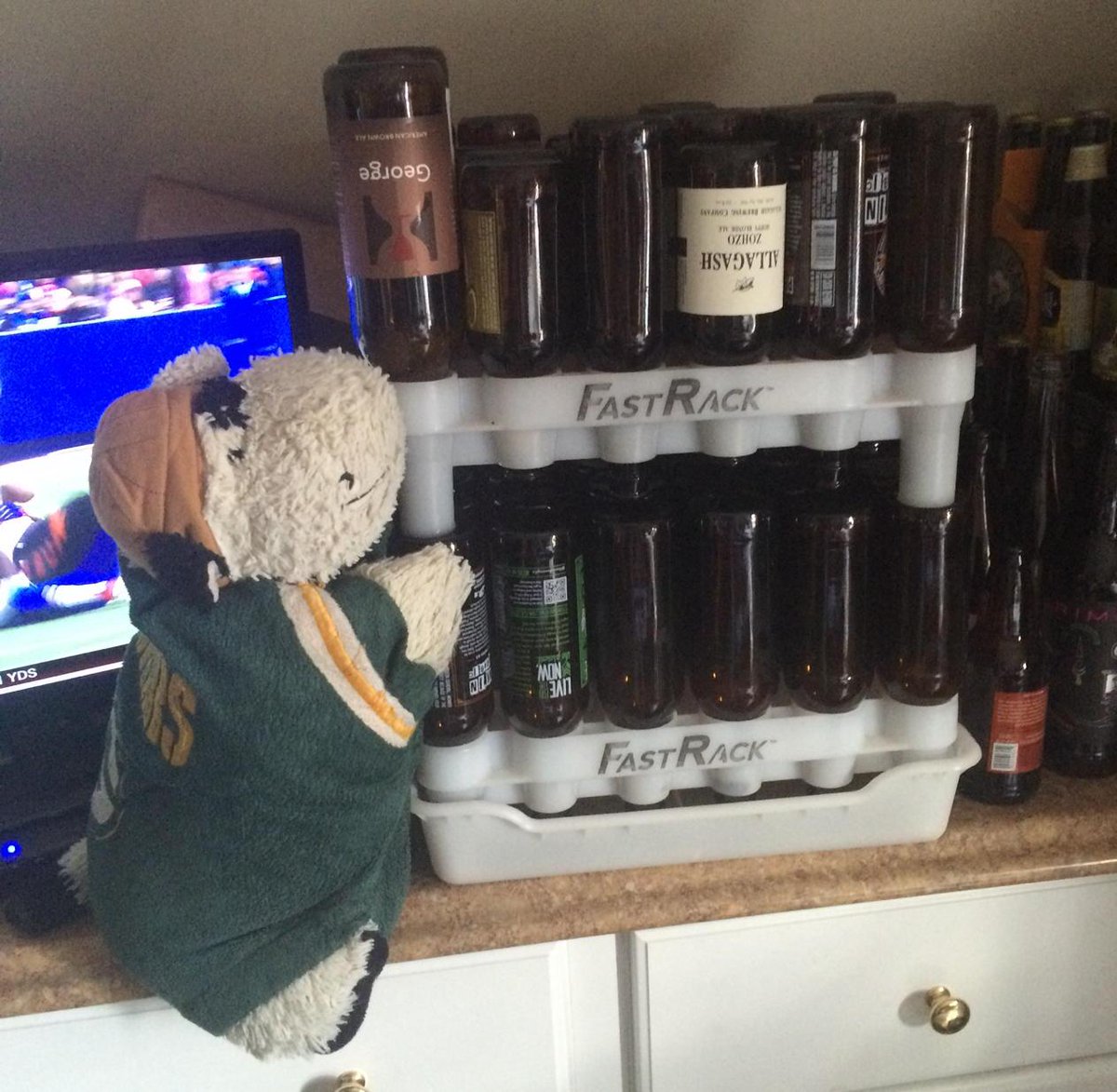 GBCurlyCow's tweet image. need to somehow get these to the bottle return so i can start saving for my brew farm! #CowProblems