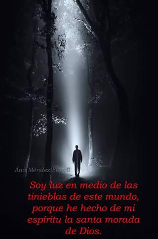 roditoolave's tweet image. 