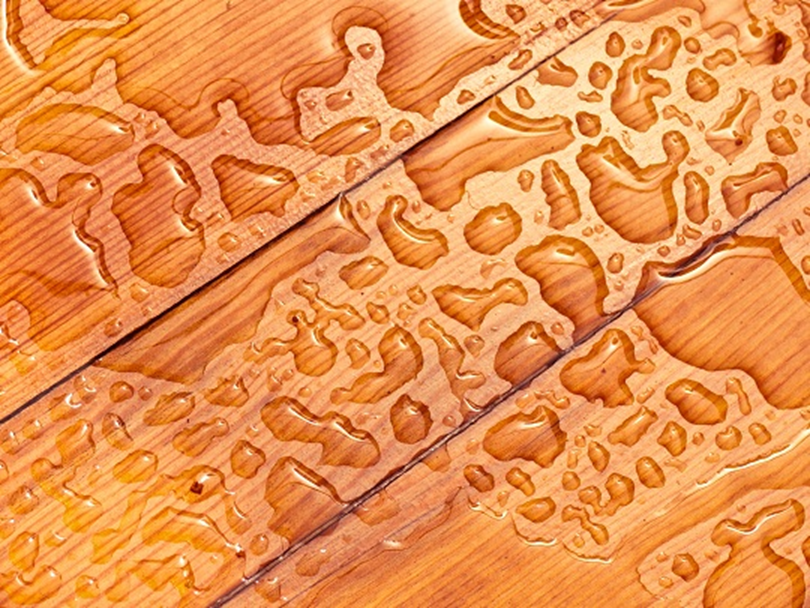 darmagahardwood's tweet photo. Hardwood flooring is a long term investment. Don't overlook any water leaks or spills, you may regret it. #TimberTips http://t.co/CXRStNbYDm