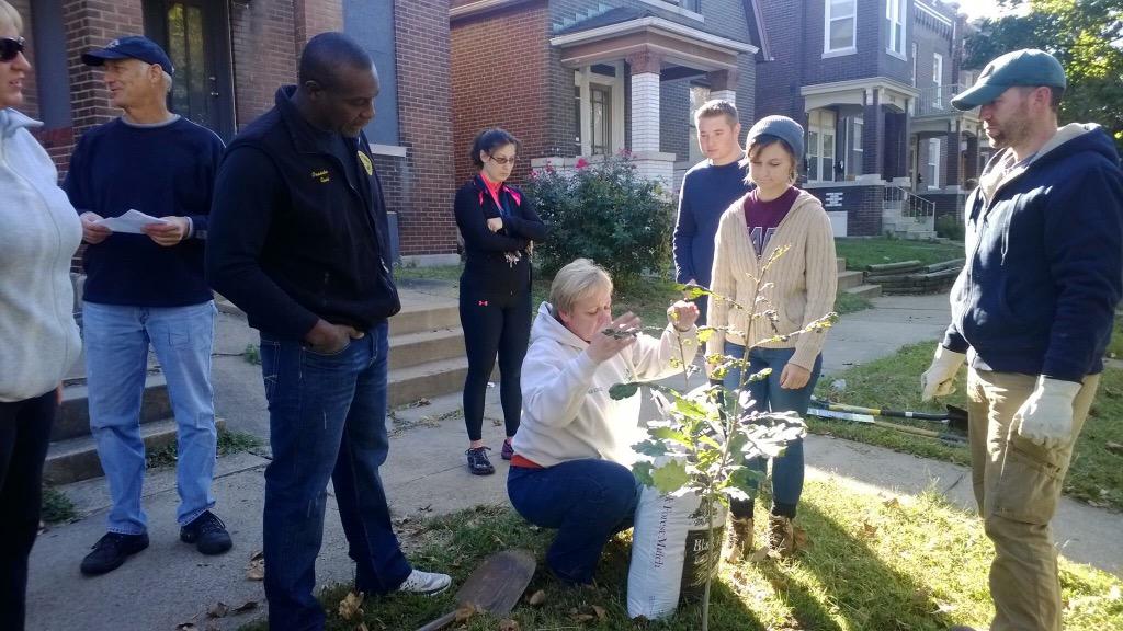 TowerGroveSouth's tweet image. 16 trees planted on 3600/3700 Bamberger and Hydraulic for #Plant4PeaceSTL today! Thanks to all the volunteers!