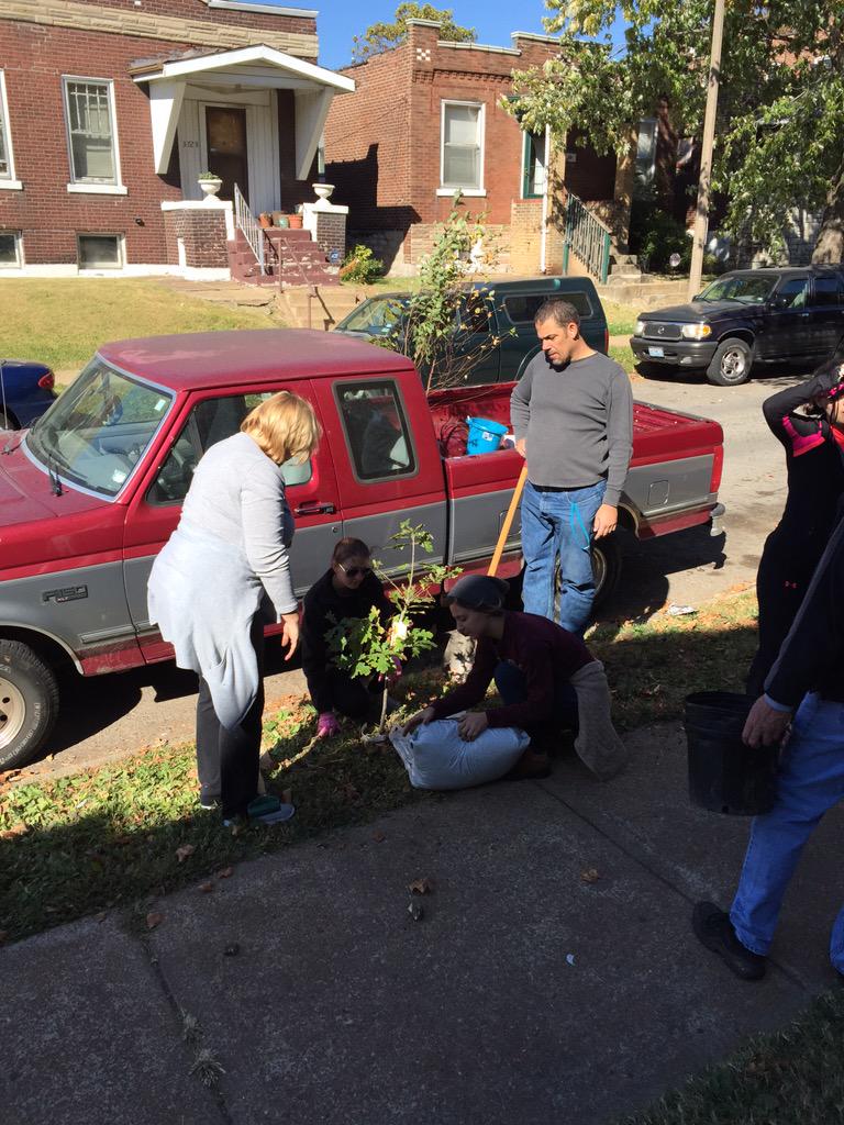 TowerGroveSouth's tweet image. 16 trees planted on 3600/3700 Bamberger and Hydraulic for #Plant4PeaceSTL today! Thanks to all the volunteers!