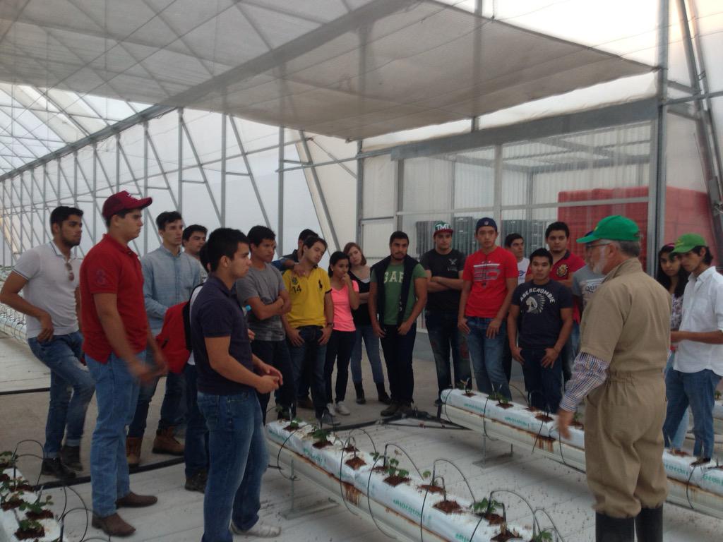 LFGU's tweet image. #BigData #AgroBigData en el @campusqueretaro para controlar los cultivos en hidroponia (200 ton/ha de jitomate)