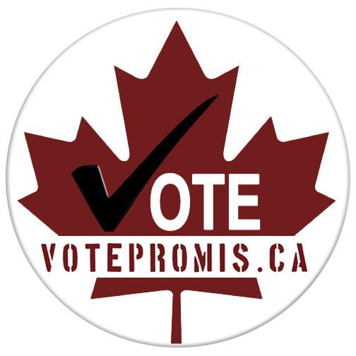 VotePromis's tweet image. @TammyVerge RT-svp :) Merci
Aidez une personne qui ne vote pas à aller voter le 19 octobre : goo.gl/5e4EBl