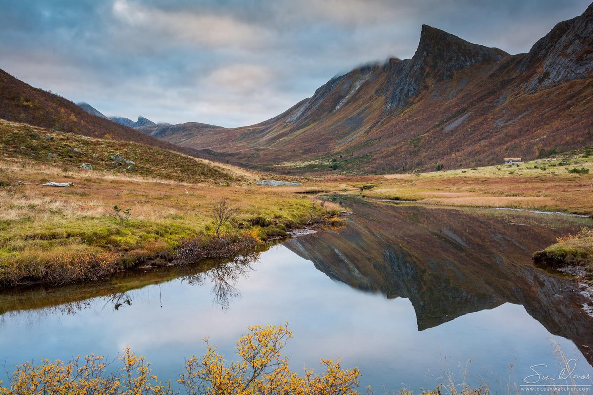 Romedalen plus.google.com/+SveinWisnaes/…