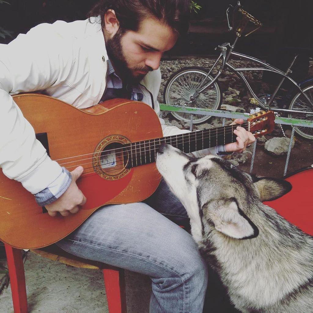 Lexi_B_Tyler's tweet photo. @bringthekings : http://t.co/PwaTBxa59I | Sundays #acoustic #bringthekings #dog #sunday #rock #guitar #rockstar http://t.co/BvyBXJdLBd