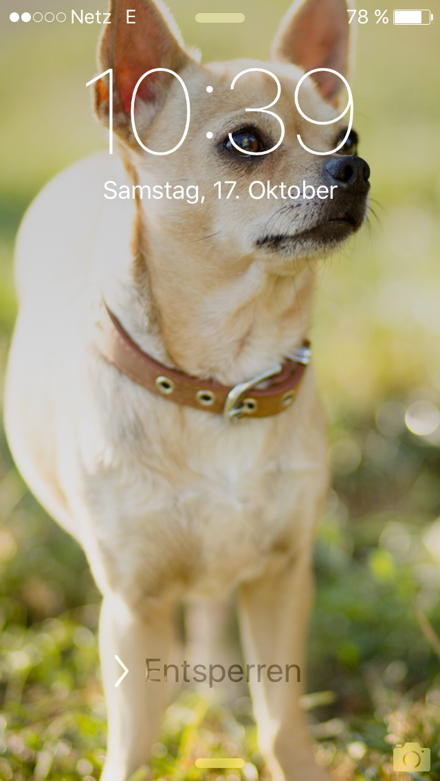 MakMaksan's tweet photo. #Lockscreengirl ❤️ http://t.co/I8S539vi2r