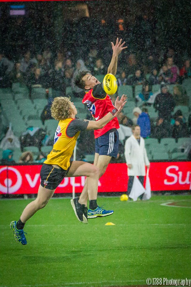 AFL 9s SA tweet media