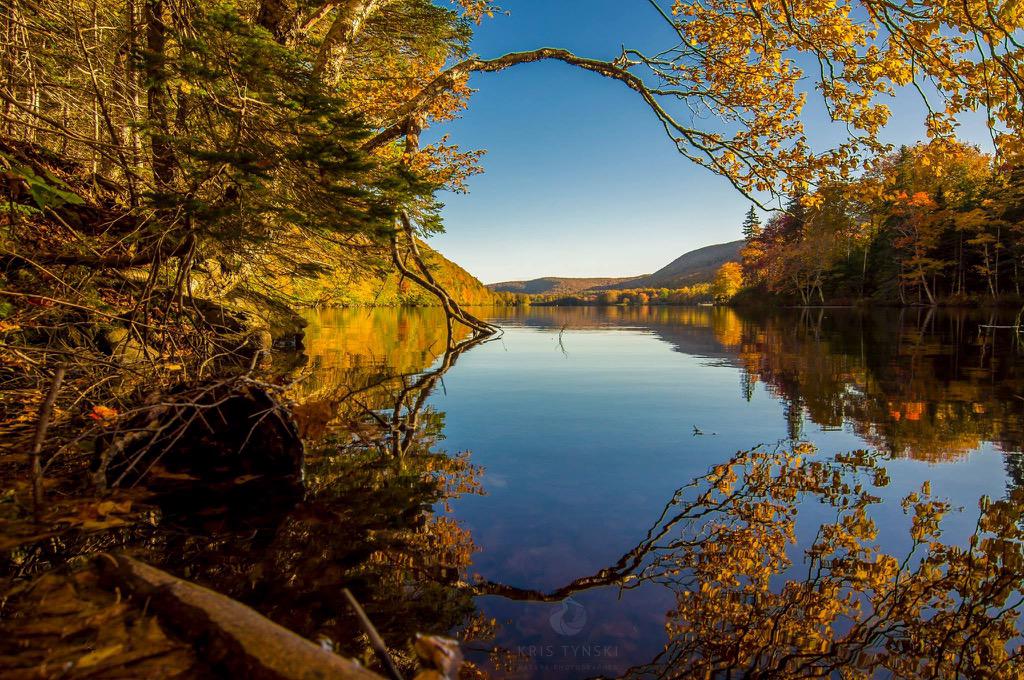 tynskiphoto's tweet photo. Autumn's Love of Law #fallinNS #capebreton #ExploreCanada @CBCNS @chronicleherald http://t.co/VKBQaKV45p
