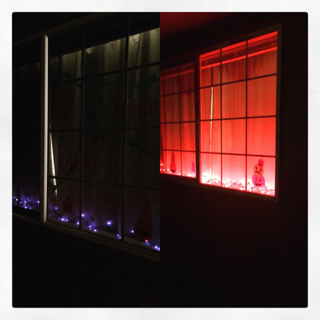 pnwitch_'s tweet image. A little festive this weekend!! @Schnider89 helped with the best part!!! #Halloween #spookylights 🎃💀👻🎃