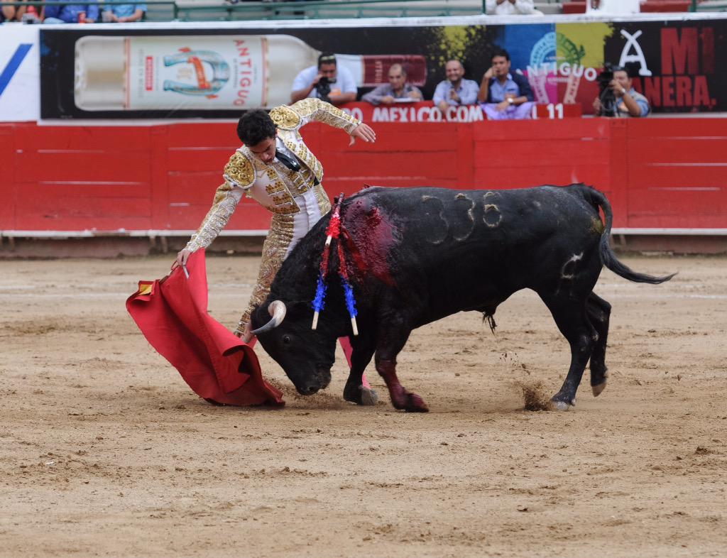 Héctor Gabriel <a href="/ToreroHectorG/">Hector Gabriel</a> Triunfador del Certamen <a href="/descuntorero/">descubriendountorero</a> en @NvoProgresogdl <a href="/FITauromaquia/">FusionIntTauromaquia</a> <a href="/torosdelidia/">Toros de Lidia</a>