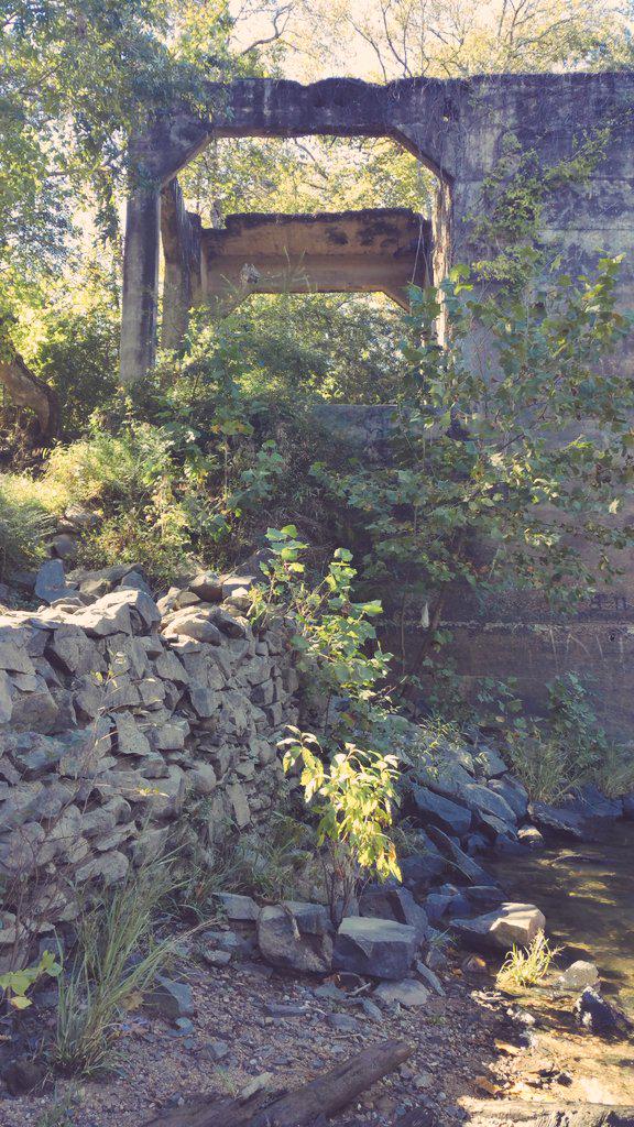 snappingmeg's tweet image. today was full of adventure