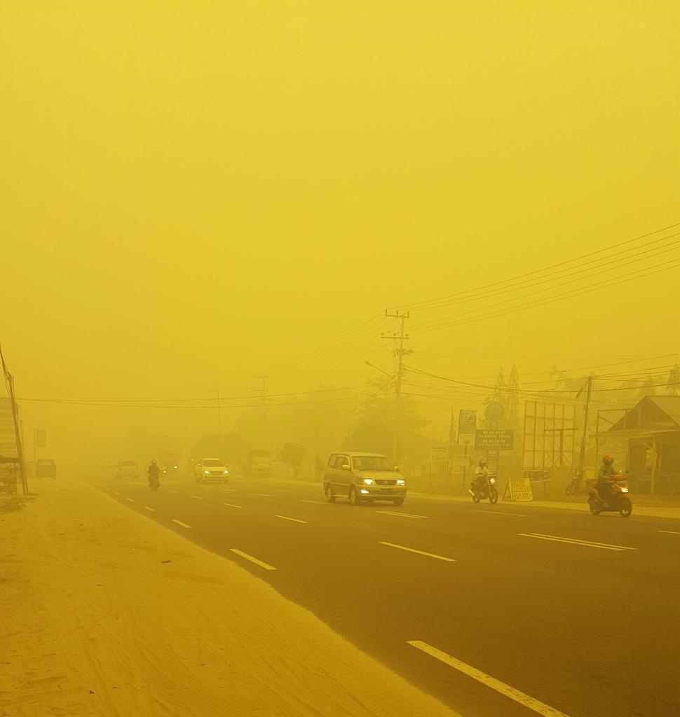 View image on Twitter